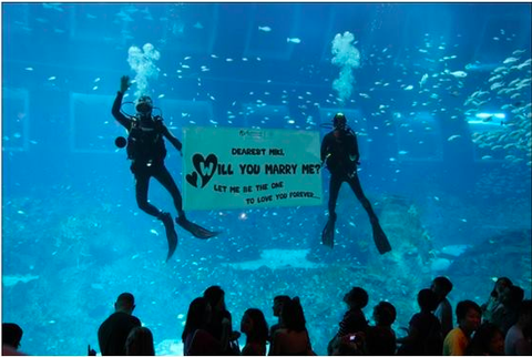 5. Exciting Proposal